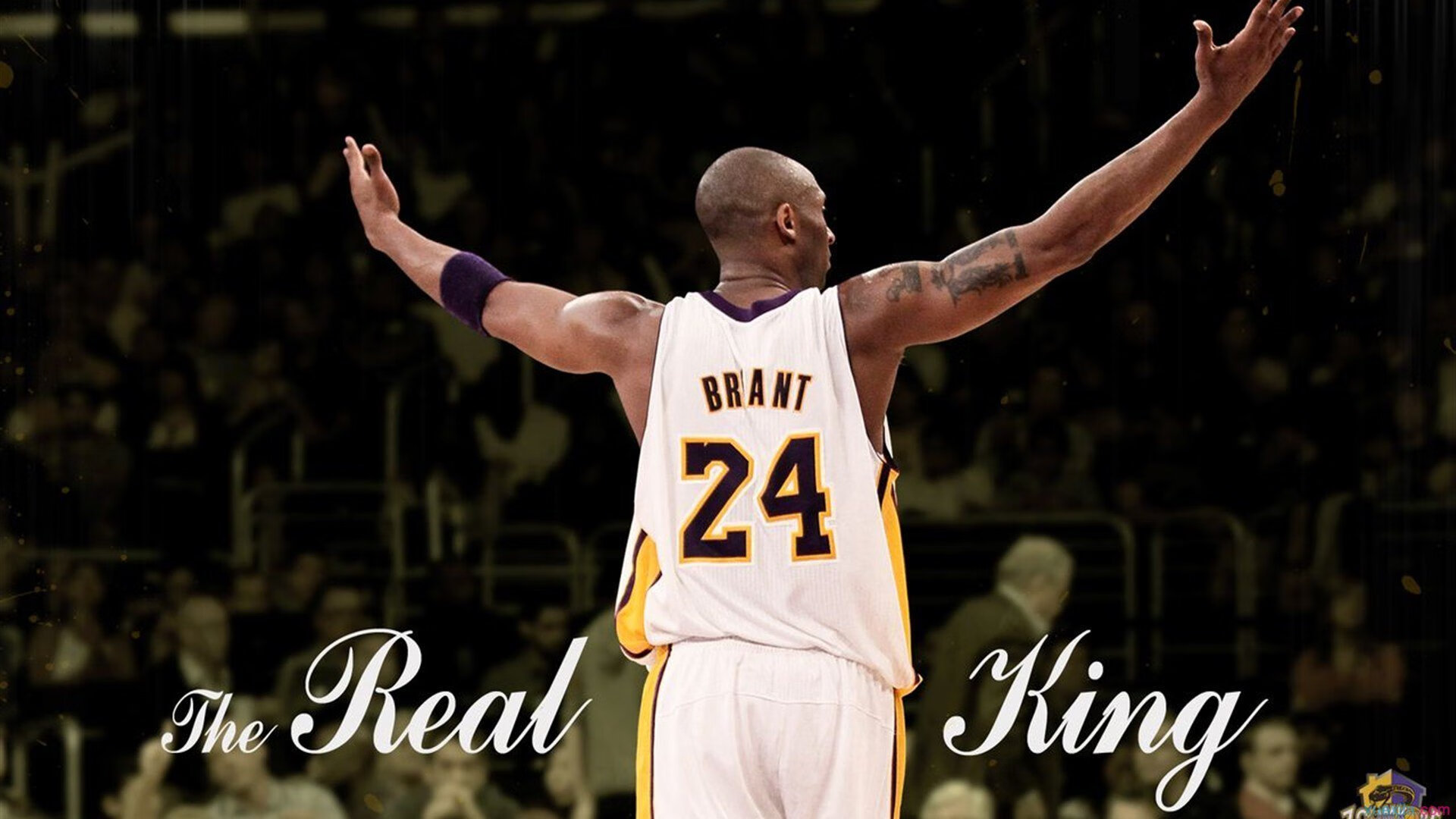 字母哥回归赛场，出色防守首场状态亮眼，法国队观众沸腾！